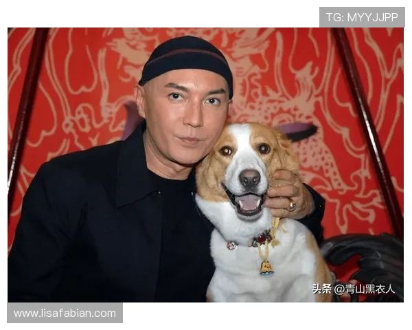 尊龙网站的魅力:探索在线娱乐平台的无尽可能性