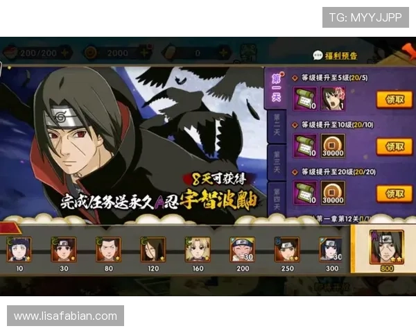 尊龙体育官方网：优惠活动与新手福利详细攻略