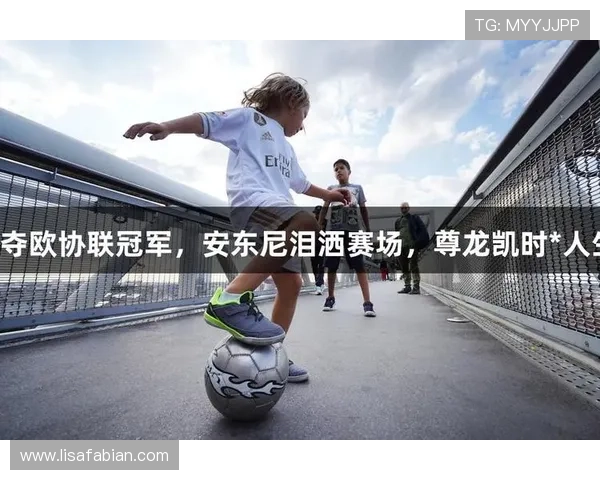 探秘尊龙凯时官方入口黄金会，开启您的财富增长之旅