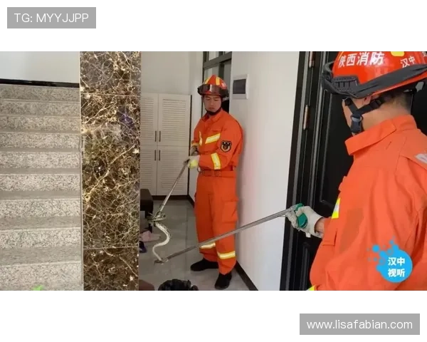 中国尊龙凯时游戏安全保障措施全面升级确保玩家账号安全与游戏体验更加流畅