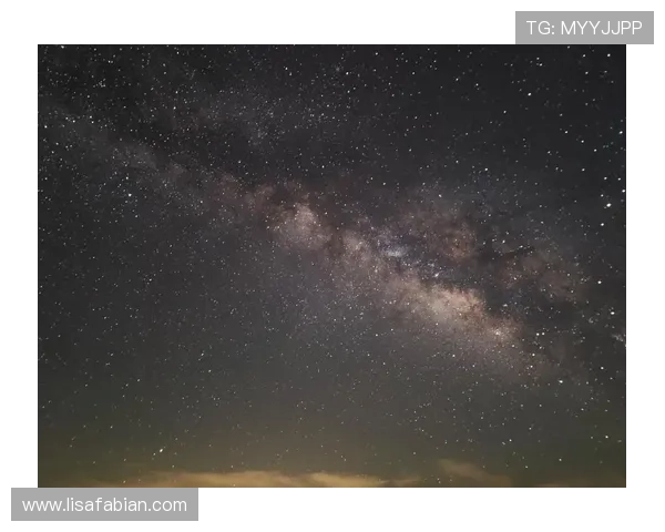 尊龙手机版app功能介绍与使用技巧,助你轻松掌握游戏操作要领