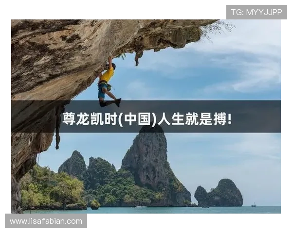 尊龙凯时人生就是博中国官网提供全面的用户服务与安全保障措施介绍